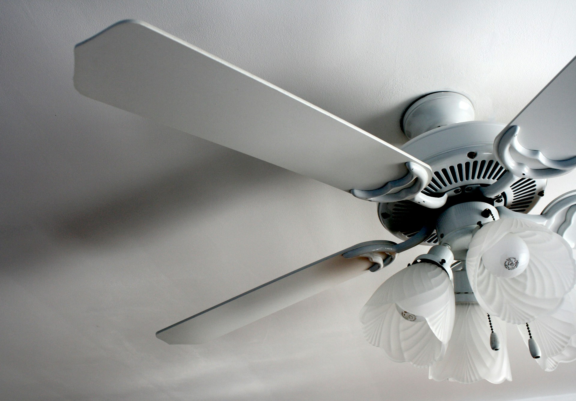 ceiling fan